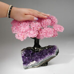 Rose Quartz Gemstone Tree on Amethyst Matrix // The Love Tree // 4.6 lb