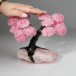 Rose Quartz Gemstone Tree on Rose Quartz II // The Eternal Love Tree // 3.3 lb