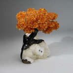 Citrine Gemstone Tree on Quartz Matrix // 6.1 lb