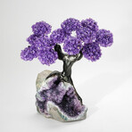 Amethyst Gemstone Tree on Amethyst Matrix // The Protection Tree // 3.6 lb