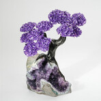 Amethyst Gemstone Tree on Amethyst Matrix // The Protection Tree // 3.6 lb