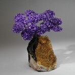 Amethyst Gemstone Tree on Citrine Matrix // The Empowerment Tree II // 4.9 lb