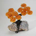 Citrine Gemstone Tree on Ametrine Matrix // The Peaceful Balance Tree // 4.5 lb