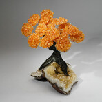Citrine Gemstone Tree on Citrine Matrix // The Calming Tree // 4.4 lb