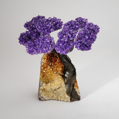 Amethyst Gemstone Tree on Citrine Matrix // The Empowerment Tree // 4.9 lb