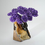 Amethyst Gemstone Tree on Citrine Matrix // The Empowerment Tree // 4.9 lb