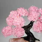 Rose Quartz Gemstone Tree on Rose Quartz II // The Eternal Love Tree // 5.7 lb