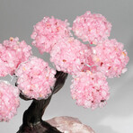 Rose Quartz Gemstone Tree on Rose Quartz II // The Eternal Love Tree // 5.4 lb