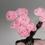 Rose Quartz Gemstone Tree on Rose Quartz II // The Eternal Love Tree // 3.3 lb