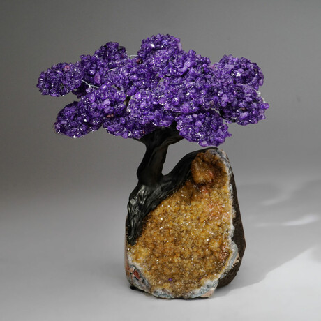 Amethyst Gemstone Tree on Citrine Matrix // The Empowerment Tree II // 4.9 lb