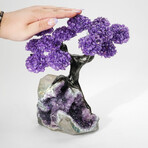 Amethyst Gemstone Tree on Amethyst Matrix // The Protection Tree // 3.6 lb