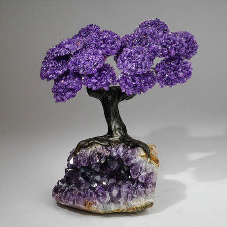 Amethyst Gemstone Tree on Amethyst Matrix // The Protection Tree // 5.6 lb