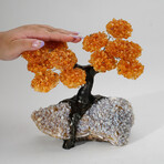 Citrine Gemstone Tree on Ametrine Matrix // The Peaceful Balance Tree // 4.5 lb