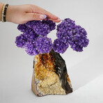 Amethyst Gemstone Tree on Citrine Matrix // The Empowerment Tree // 4.9 lb