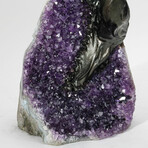 Amethyst Gemstone Tree on Amethyst Matrix // The Protection Tree // 3.1 lb