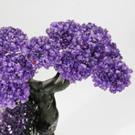 Amethyst Gemstone Tree on Amethyst Matrix // The Protection Tree // 3.1 lb