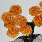 Citrine Gemstone Tree on Ametrine Matrix // The Peaceful Balance Tree // 4.5 lb