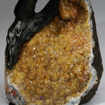 Amethyst Gemstone Tree on Citrine Matrix // The Empowerment Tree II // 4.9 lb