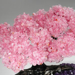 Rose Quartz Gemstone Tree on Amethyst Matrix // The Love Tree // 4.6 lb