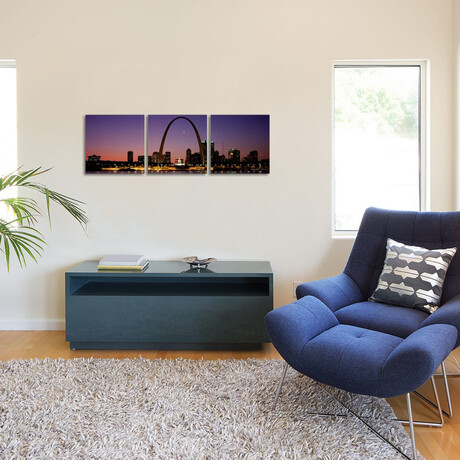 St Louis MO USA by Panoramic Images