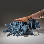 Genuine Blue Ridge Coral // 8.8lb