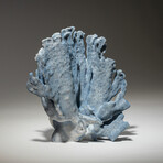 Genuine Blue Ridge Coral // 1.6lb