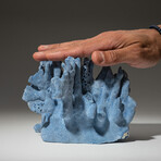 Genuine Blue Ridge Coral // 1.8lb