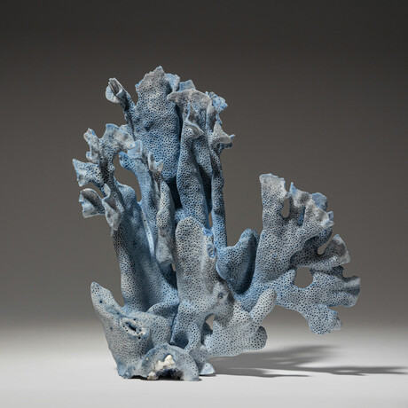 Genuine Blue Ridge Coral // 1.3lb