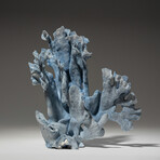 Genuine Blue Ridge Coral // 1.3lb