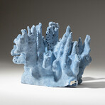 Genuine Blue Ridge Coral // 1.8lb