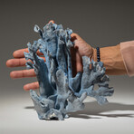 Genuine Blue Ridge Coral // 1.3lb