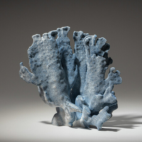 Genuine Blue Ridge Coral // 1.6lb