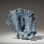 Genuine Blue Ridge Coral // 1.6lb