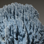 Genuine Blue Ridge Coral // 24.2lb