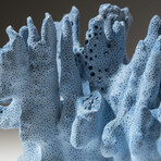 Genuine Blue Ridge Coral // 1.8lb