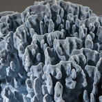 Genuine Blue Ridge Coral // 46.0lb