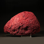 Genuine Red Pipe Organ Coral // 12.0lb