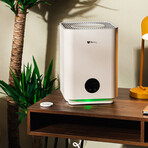 Airdog Mist-Free Humidifier