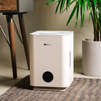 Airdog Mist-Free Humidifier