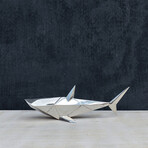 Shark (Small)