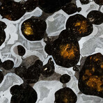 Brenham Pallasite Meteorite // Ver. 3