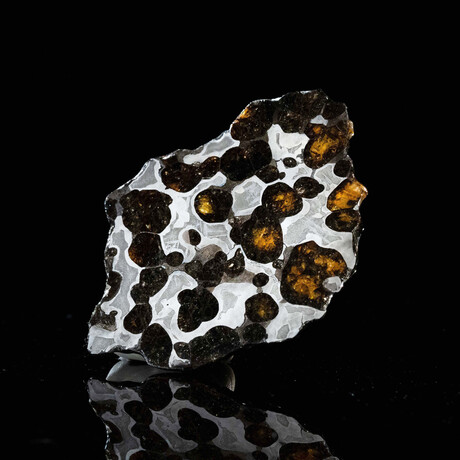 Brenham Pallasite Meteorite // Ver. 3
