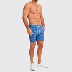 Resort Swim Shorts // Hamilton (XL)