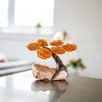 Small Genuine Citrine Clustered Gemstone Tree on Citrine Matrix // The Calming Tree