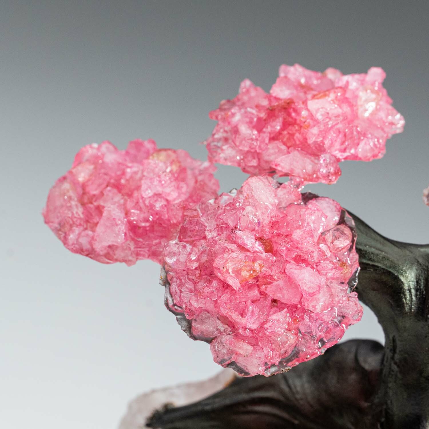 Small Genuine Rose Quartz Clustered Gemstone Tree on Rose Quartz Matrix ...