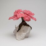 Rose Quartz Gemstone Tree on Clear Quartz Crystal // The Tree of Light // 3.5 lbs