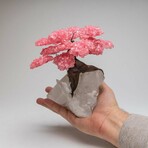 Rose Quartz Gemstone Tree on Clear Quartz Crystal // The Tree of Light // 3.5 lbs
