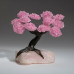 Rose Quartz Gemstone Tree on Rose Quartz // The Eternal Love Tree // 3.5 lb