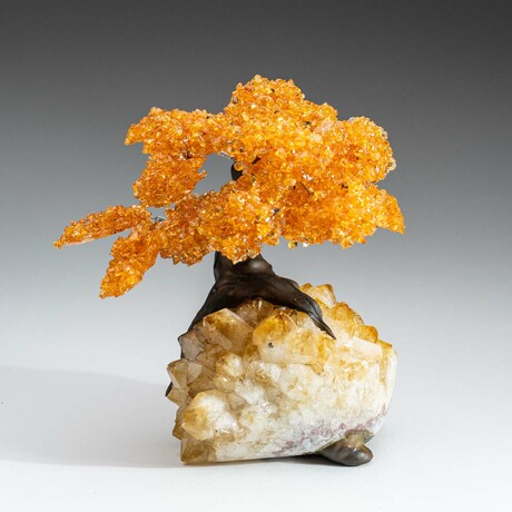 Large Genuine Citrine Clustered Gemstone Tree on Citrine Matrix // The Calming Tree