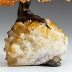 Large Genuine Citrine Clustered Gemstone Tree on Citrine Matrix // The Calming Tree